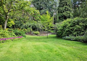 Optimiser l'expérience du jardin à Foussignac